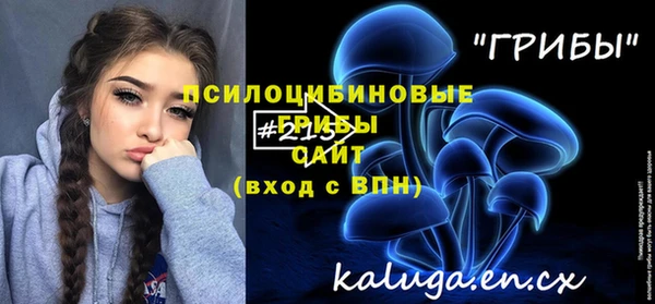 спиды Бородино