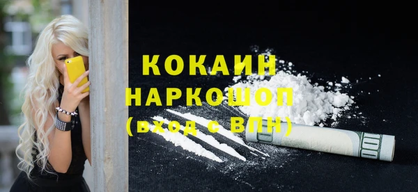 спиды Бородино